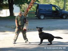 Detsk tbor Misia Delta