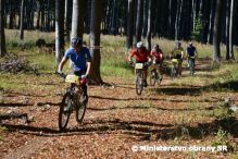 2. ronk sae MO SR v horskej cyklistike ڊZV Le 