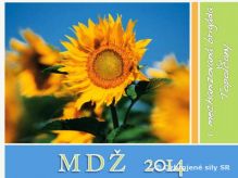 Medzinrodn de ien 2014